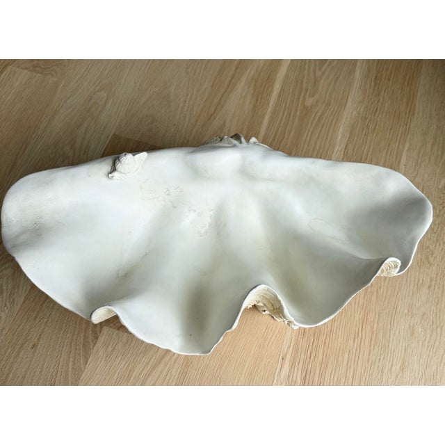 Ivory Rare Vintage Winterthur Museum Giant Clam Shell Centerpiece Bowl on Coral Base For Sale - Image 8 of 10