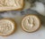 Antique Italian Grand Tour Plaster Intaglios - Set of 5 (Group #9) For Sale - Image 9 of 10