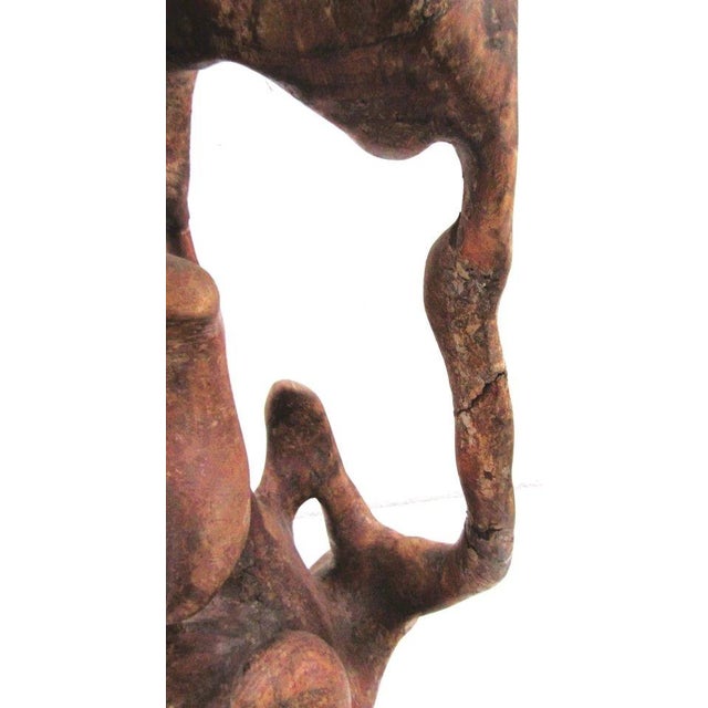 1950s Mid-Century Modern Organic Biomorphic Figurative Burl Wood Carving Sculpture For Sale - Image 13 of 18