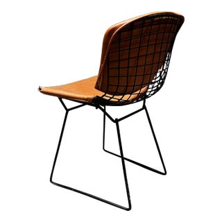 Vintage Bertoia Side Chair by Harry Bertoia, Black Rilsan, 1952 For Sale