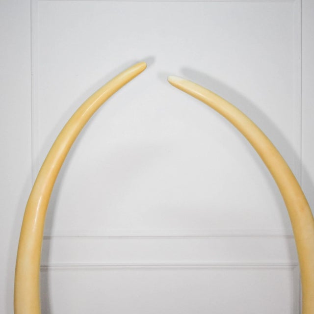 Art Deco Monumental Faux Elephant Tusks Circa 1970's - a Pair For Sale - Image 3 of 7