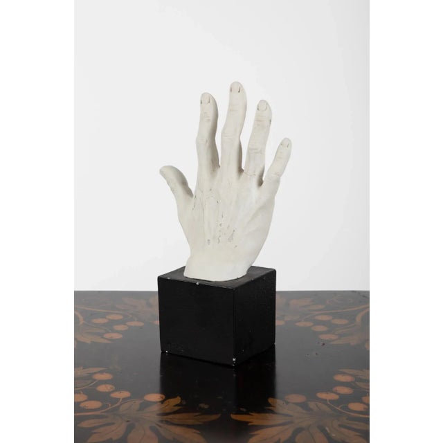 Black Hand Study in Plaster For Sale - Image 8 of 8