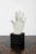 Black Hand Study in Plaster For Sale - Image 8 of 8