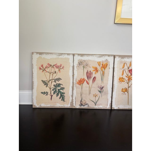 Offered is a set of 4 stretched canvas botanical prints, ready to hang.
