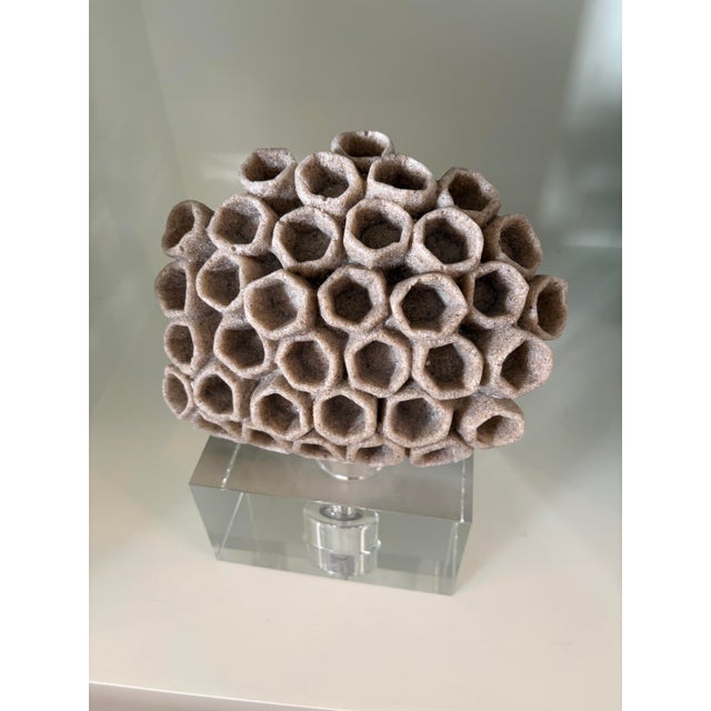 Coastal Arteriors Home Wilcomb Sculpture For Sale - Image 3 of 3