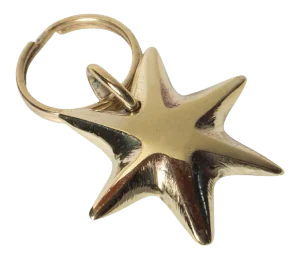 Carl Auböck Model #5615 'Star' Solid Brass Keyring With Signature