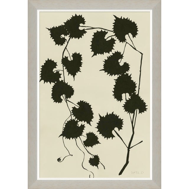 Hable Ink on Paper - Fern, Vine, and Branches by Susan Hable For Sale - Image 4 of 5