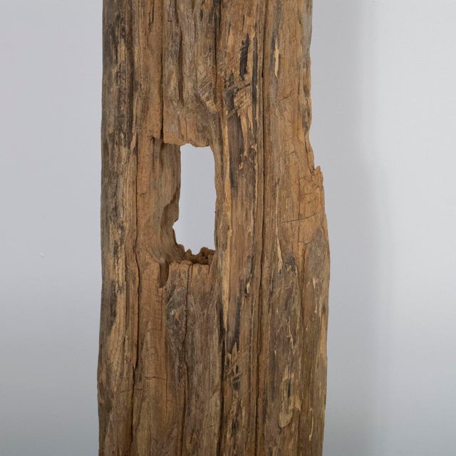 Natural driftwood floor lamp For Sale - Image 4 of 13