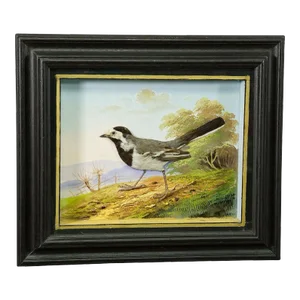 Victorian Taxidermy Diorama With White Wagtail Ca. 1900