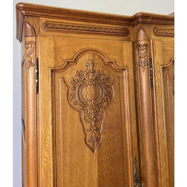 Vintage French Louis XVI Style Wardrobe in Oak For Sale - Image 3 of 18