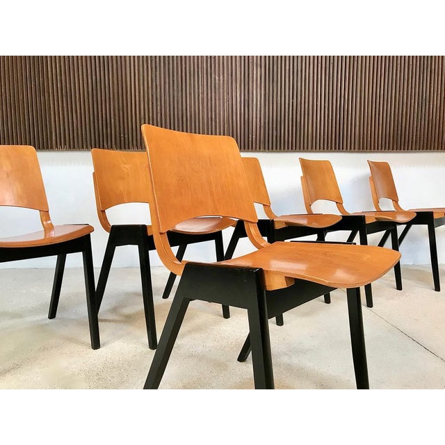 Model P7 Chairs by R. Rainer for Pollak, Set of 6 For Sale - Image 14 of 18