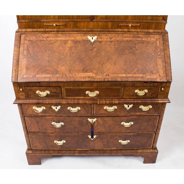 18th Century Queen Anne Double Dome Burr Walnut Bureau Bookcase For Sale - Image 3 of 10