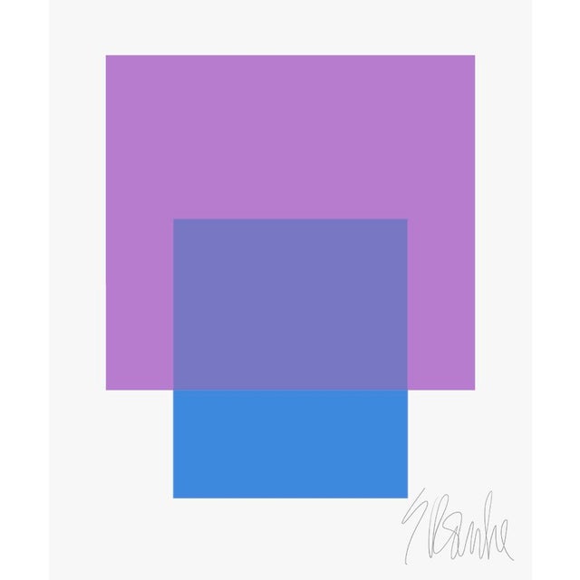 The Interaction of Purple and Blue Fine Art Print 25" X 30" by Liz Roache For Sale In Boston - Image 6 of 6