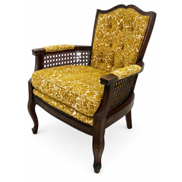 1960s Vintage Mid-Century Modern Cane Armchair For Sale - Image 5 of 5