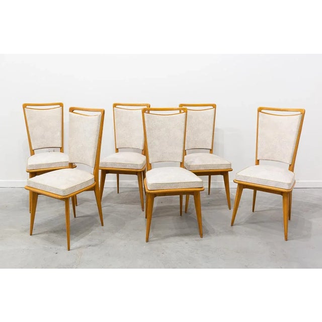 Gold Mid-Century French Dining Chairs, 1950s, Set of 6 For Sale - Image 8 of 10