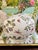 Beautiful and hard-to-find butterfly, dragonfly and floral LARGE lidded round hand-painted box with a bright white ground....