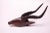 Vintage carved and stained wooden antelope sculpture. Smaller scale than most antelope antlers (H: 11.5" x D: 6.5" x L:...
