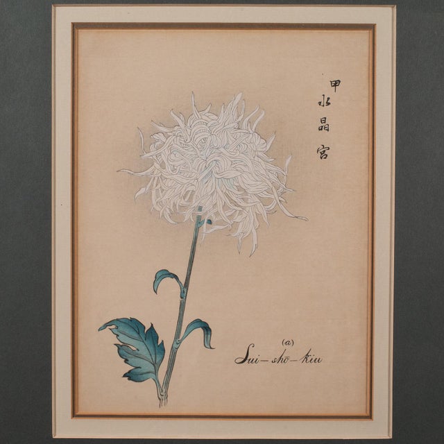 Glass 3 Vintage Botanical Pictures, Japanese, Woodblock Print, After Hasegawa, Art For Sale - Image 7 of 12