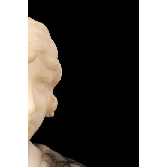 Gustave Van Vaerenbergh, Bust of a Young Girl, 1900s, Alabaster and Marble Sculpture For Sale - Image 13 of 16