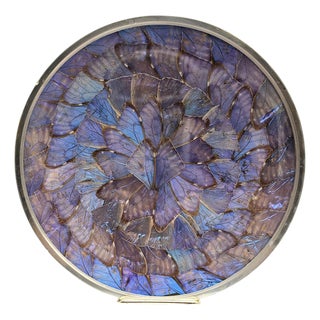 Vintage Brazil Morpho Butterfly Wing Silver Metal Wall Plate For Sale