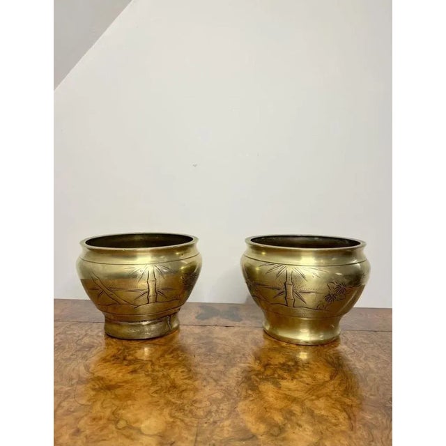 Stunning pair of antique Edwardian brass jardinieres having a quality pair of antique brass jardinieres having engraved...