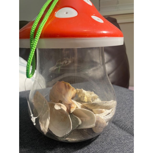 New England Curated Coastal Shell Display With Mushroom Lid For Sale - Image 10 of 12