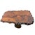 Brutalist Sculptural Camphor Wood Organic Side Table, 1950s For Sale - Image 7 of 10