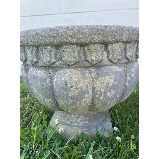 Pair of Mid-Century Cast Stone Tulip Urns - Egg & Dart Rim - Charlotte Estate For Sale In Mobile - Image 6 of 8