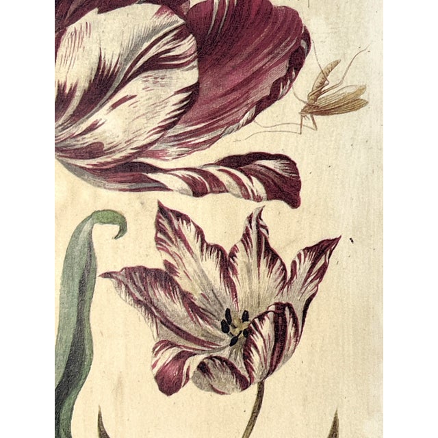 1960s Rustic French Country Botanical Flower Paintings, Pictures in Green & White Twig Frames , a Pair For Sale - Image 5 of 6