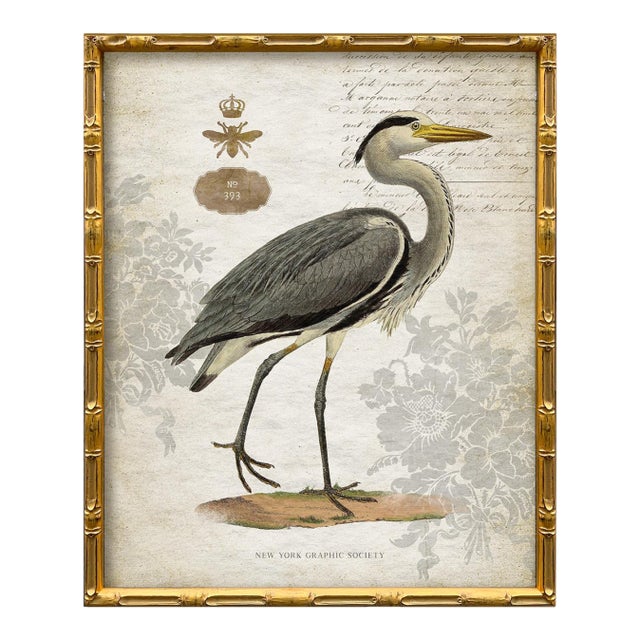 Blue Heron Bird Fine Art Print, Framed For Sale