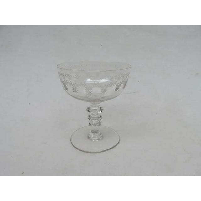 Antique French Champagne Glasses, Set of 12 For Sale - Image 16 of 16
