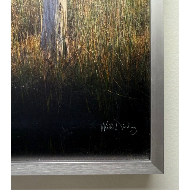 Contemporary 21st-Century, Untitled, Color Photograph of Coastal Wetland Framed, Artist Will Dickey For Sale - Image 3 of 8