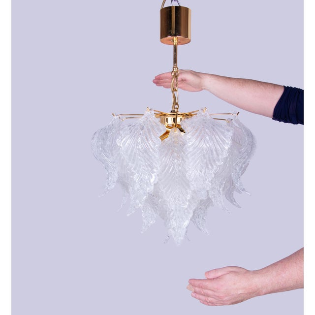 Gold Murano Glass Petals and Brass Chandelier from Novaresi, Italy, 1970s For Sale - Image 8 of 12
