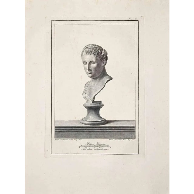 Ancient roman bust, original etching from the end of the 18th century, made by various old masters. Good condition. Units...