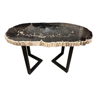 Andrianna Shamaris Magnificent Large Petrified Wood Table For Sale