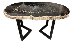 Andrianna Shamaris Magnificent Large Petrified Wood Table