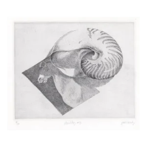 1970s Pat Hardy Nautilus Shell Still Life Etching