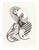 after Paolo Boni, Metaux, 1987, Woodcut For Sale - Image 3 of 3