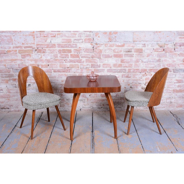 Mid-Century Modern Chairs in Walnut by Antonín Šuman, 1950s, Set of 4 For Sale - Image 11 of 12
