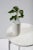 Contemporary Nordic Mood Collection Medium Vase in White by Ekin Kayis For Sale - Image 3 of 5