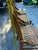 1970s Collection of Short Wooden Ladder Back Chairs- Set of 3 For Sale - Image 4 of 11