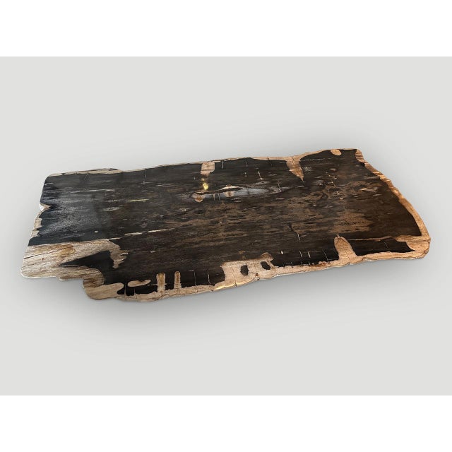 Wood Andrianna Shamaris Live Edge Single Slab HighQuality Petrified Wood Dining Table For Sale - Image 7 of 18