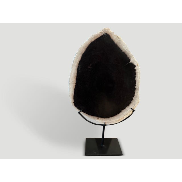 2010s Andrianna Shamaris Minimalist Petrified Wood on Stand For Sale - Image 5 of 5