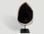 2010s Andrianna Shamaris Minimalist Petrified Wood on Stand For Sale - Image 5 of 5