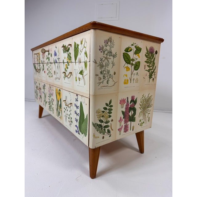 Wood 1950's Swedish Dresser With Nordens Flora Illustrations For Sale - Image 7 of 12