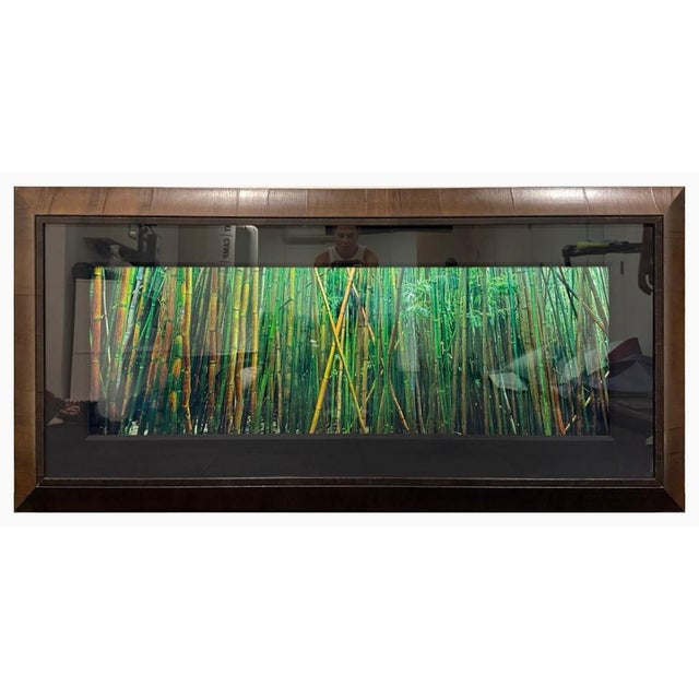 Photorealism Peter Lik “Bamboo” | Limited Edition Fine Art Photograph | Signed & Numbered | Coa For Sale - Image 3 of 12