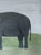 Contemporary 'Gentle Elephant' Original Naïve Style Animal Oil Painting by British Artist Matt Rix, Framed For Sale - Image 11 of 13