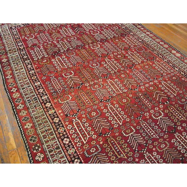 Antique Caucasian, Shirvan rug, size: 5'10" x 9'10". Antique Caucasian - Shirvan Caucasian 1900s Rug, Country of Origin:...