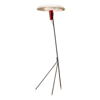 NX38 Floor Lamp attributed to Louis Kalff for Philips, 1950s For Sale