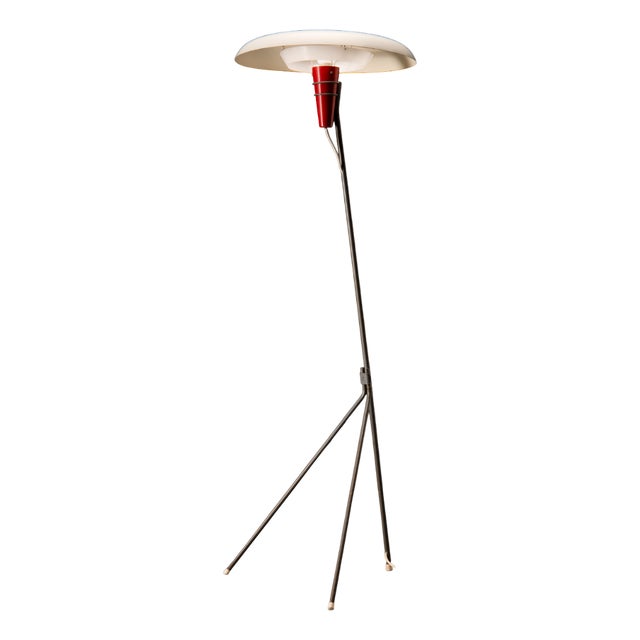 NX38 Floor Lamp attributed to Louis Kalff for Philips, 1950s For Sale